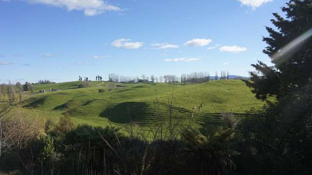 74 Reservoir Street Putaruru_1