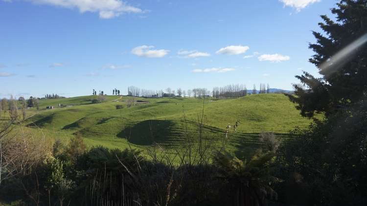 74 Reservoir Street Putaruru_1