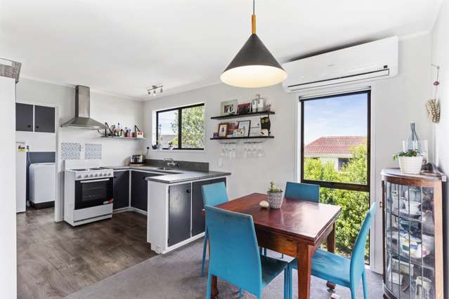 1/10 Catkin Crescent Papatoetoe_4