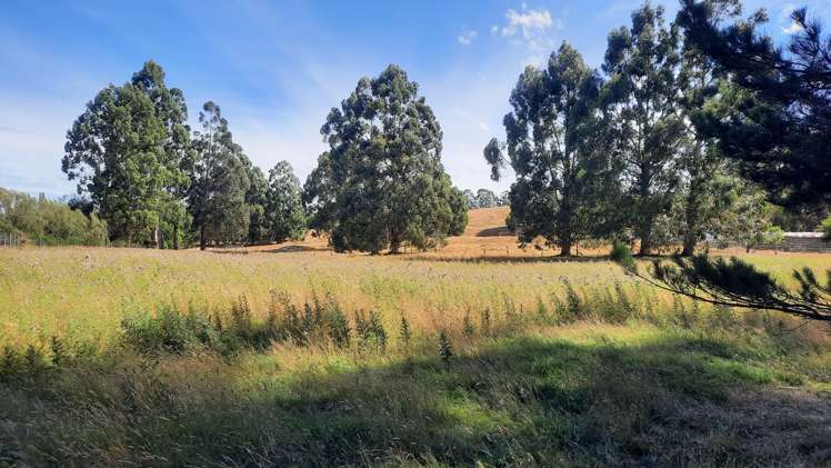 746 Clutha River Road Rongahere_14