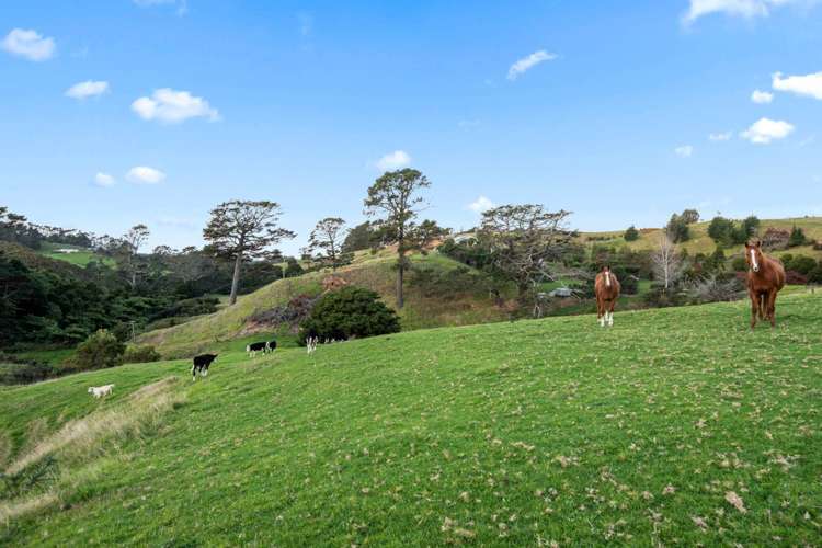 1096f Awhitu Road Waiuku_37