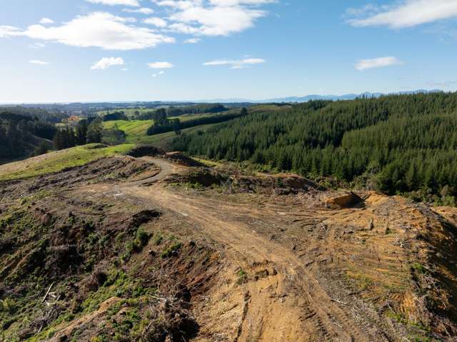 Supplejack Valley Road Upper Moutere_2