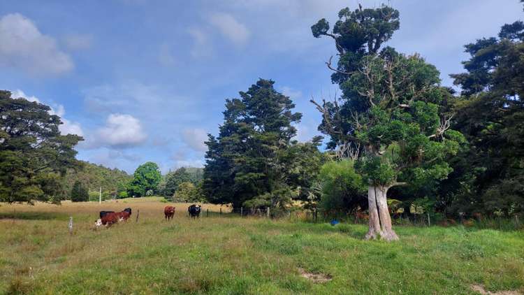 23 Matheson Road Whakapara_28