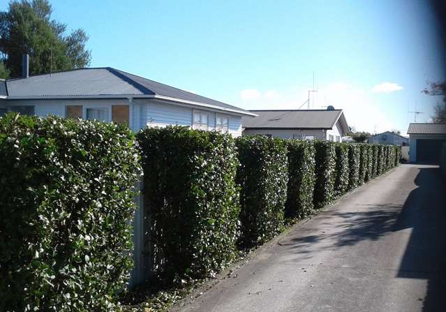 1/10A Dominion Road Nawton_2