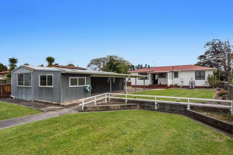 65 College Road Edgecumbe_10