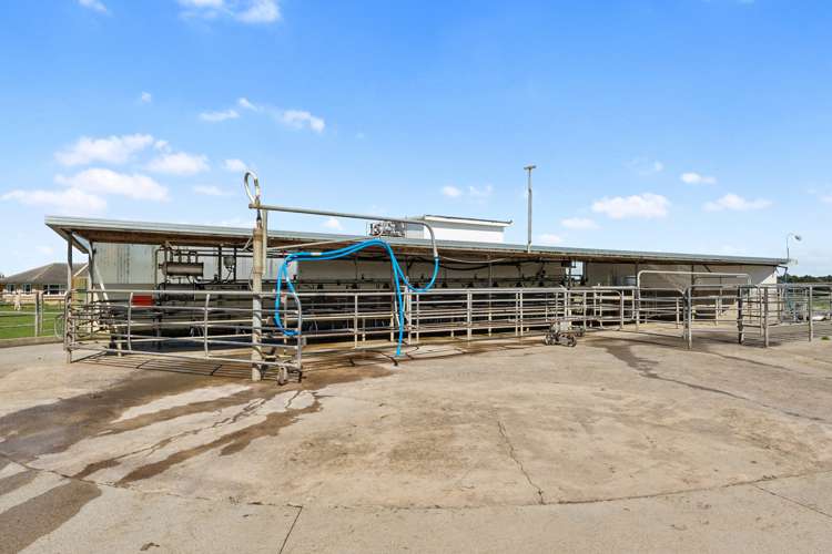 711 Horrell Road Morrinsville_7