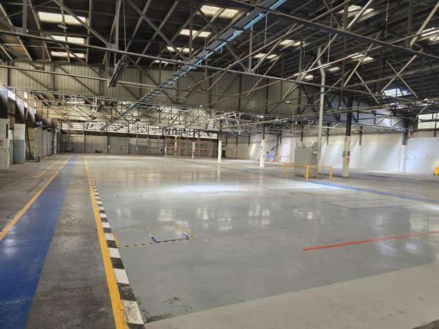 101 Collins Avenue Tawa_4
