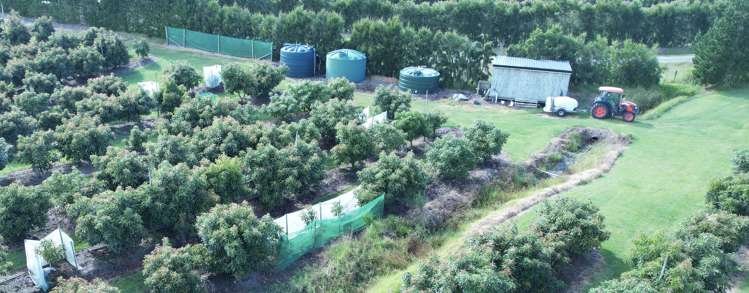 65 Elingamite Drive Pukenui_9