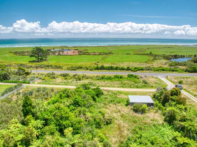 2484B State Highway 6 Barrytown_2