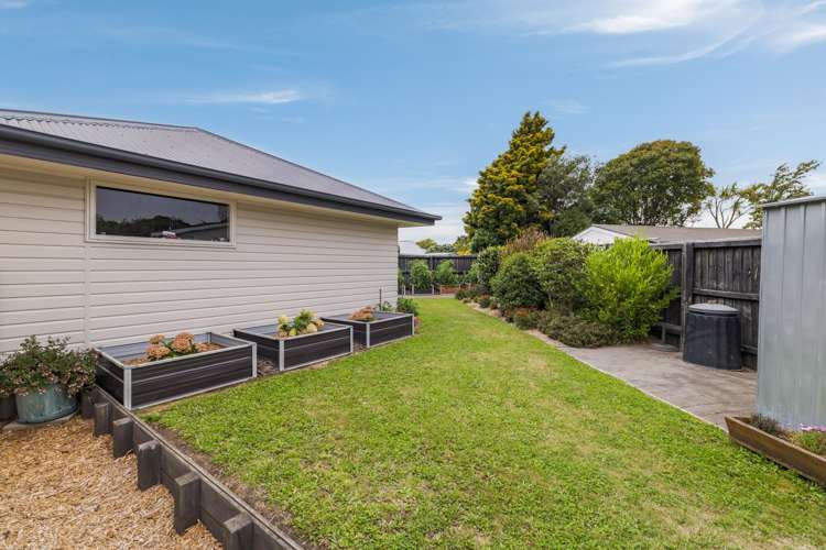 10 Cowper Place Avondale_23