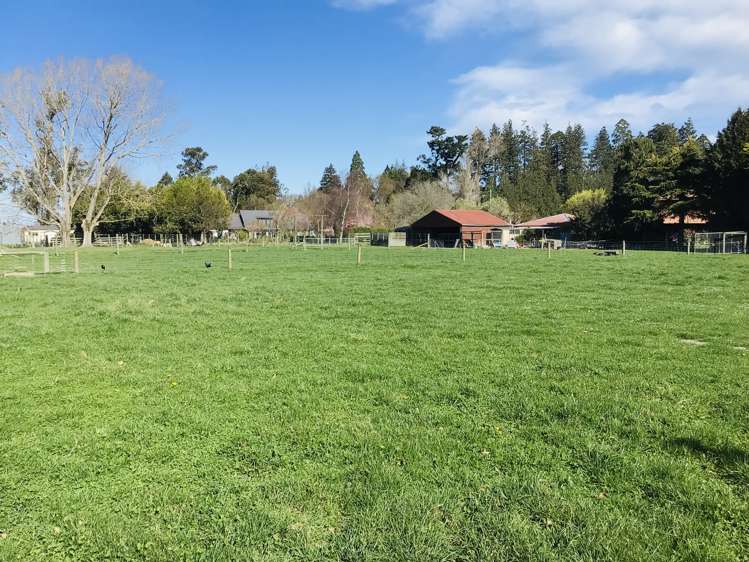 77 Beach Road East_0