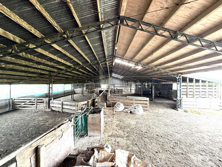 389 Mckenzie Road Browns_5