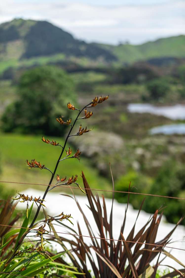 91 Koutunui Road Athenree_9