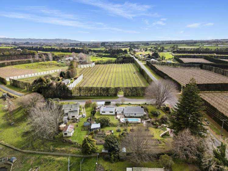 5 Huse Lane Te Puke_31