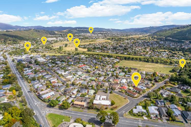 5b Norbert Street Brown Owl_29