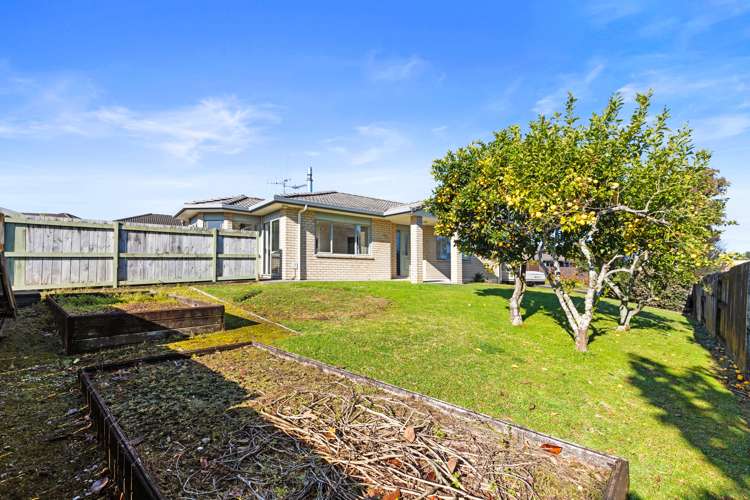 3 Ethan Place Ohauiti_11