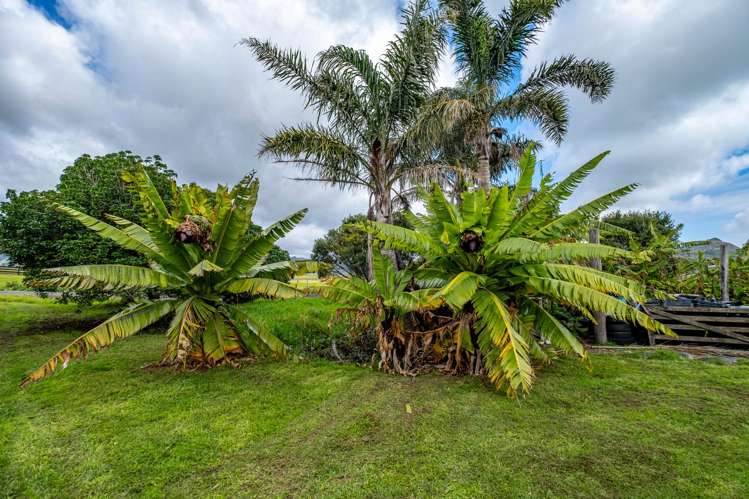 1428 Sandhills Road Ahipara_8