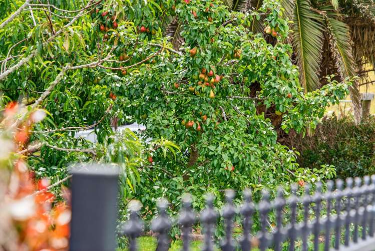 1014 South Head Road, South Head Helensville_33