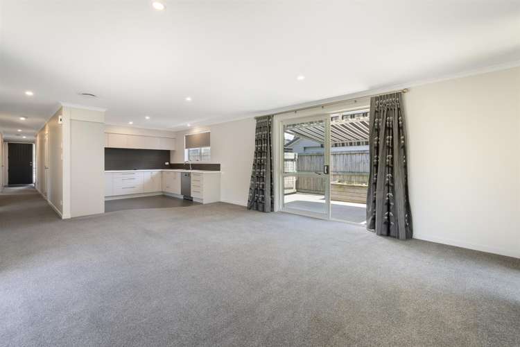 25 Saltwood Lane Bethlehem_9