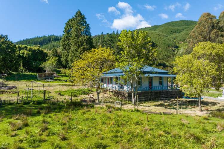 1025 Wakamarina Road Havelock_1