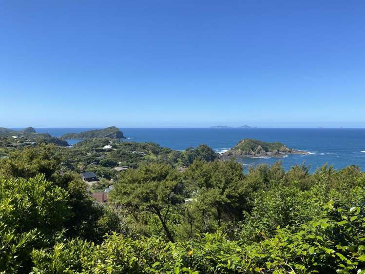 26 Dolphin Place Tutukaka Coast_9