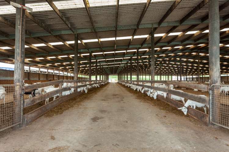 3160 Tahuna-Ohinewai Road Tahuna_17