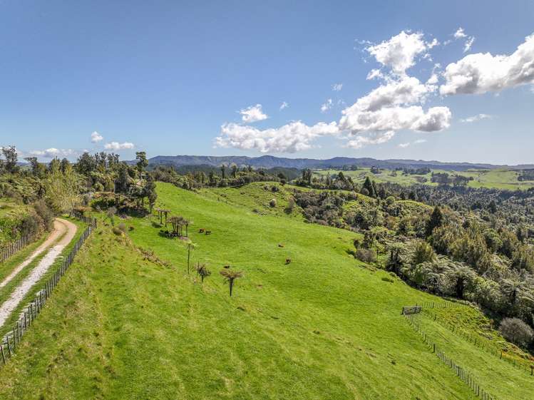 412 Bromley Road Otorohanga_7