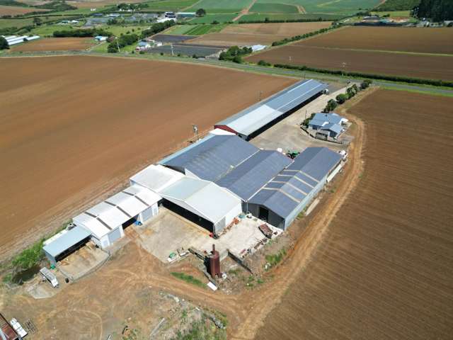 29 Dazeley Road Pukekohe_2