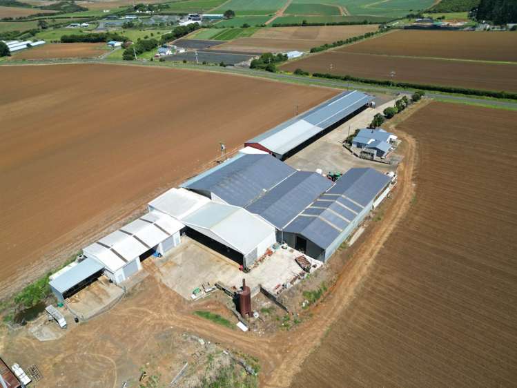 29 Dazeley Road Pukekohe_2