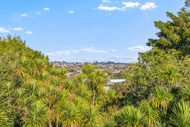 35A Tiverton Road Avondale_1