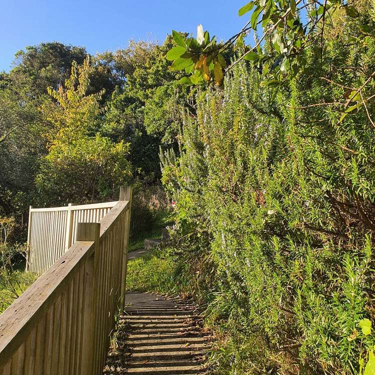 43A Wilton Road Wadestown_18