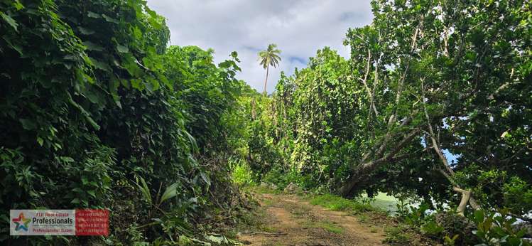 Address withheld Savusavu_15