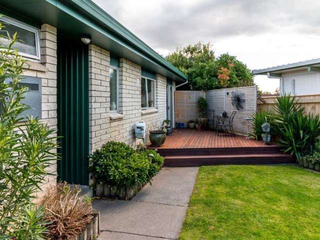 31 Freyberg Avenue Tamatea_1