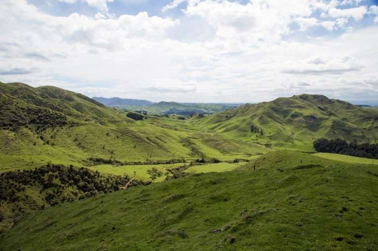 15 Hinerua Road Ongaonga_16