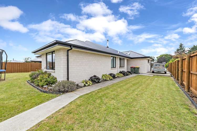 9 Princes Street Springfield_26