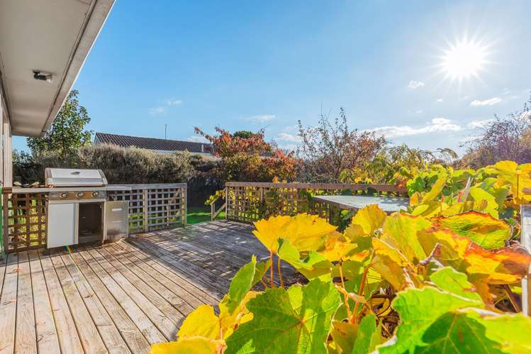 112 Taharepa Road Hilltop_20