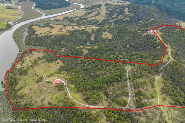 Lot 2 Waimanu Road Wellsford_3