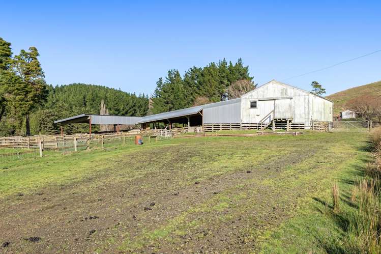 145 Mangarei Road Bideford_16