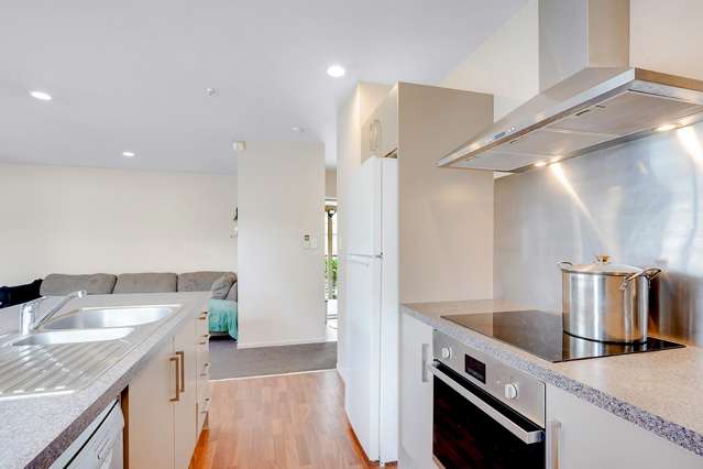 17A Carey Street Maeroa_2