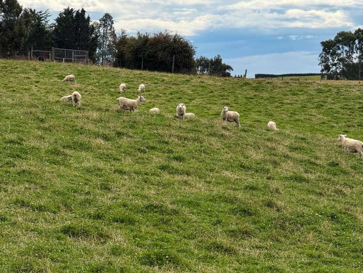 10 Four Mile Creek Road Te Houka_9