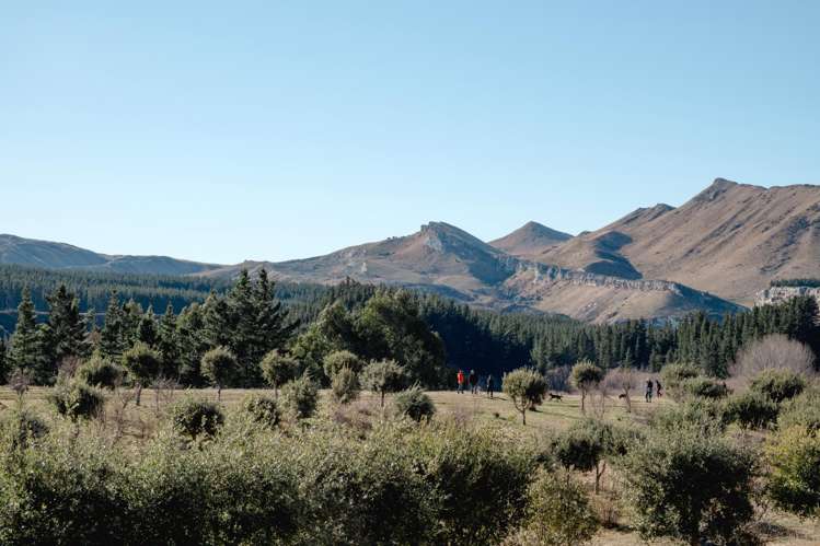 101 Laidmore Road Broomfield_16