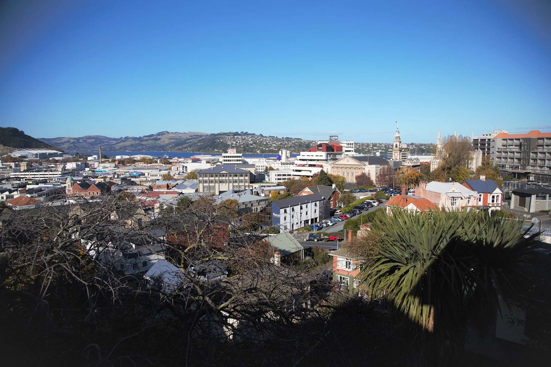 5/106 Cargill Street Dunedin Central_0