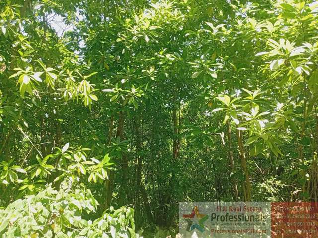 Address withheld Taveuni_3