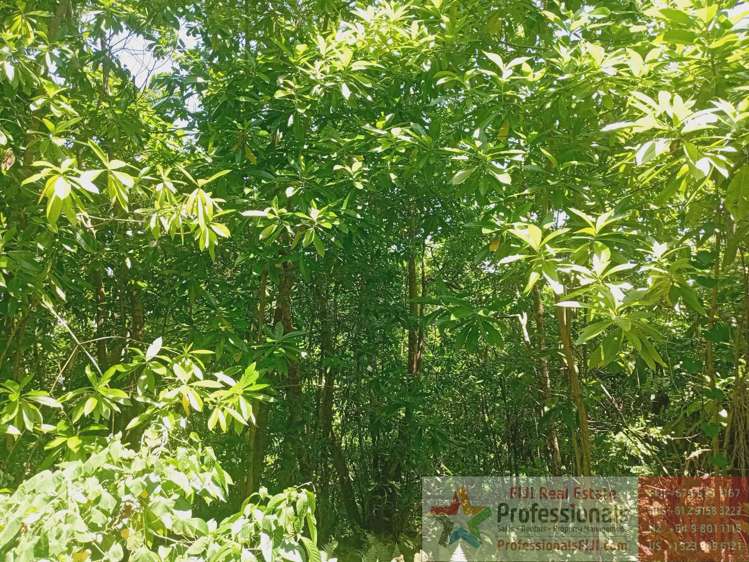 Address withheld Taveuni_3