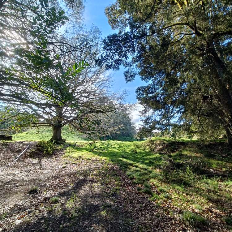 Lot 2/504 Wairere Road Mareretu_43