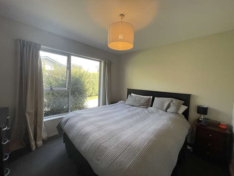 83 Lowry Avenue Redwood_5