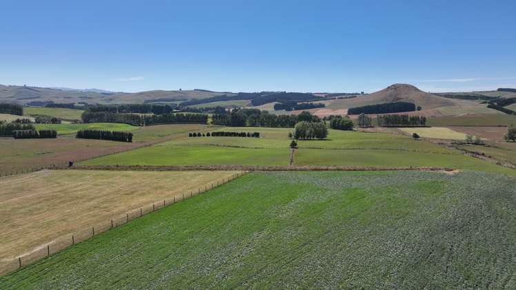 391a Otama Road Gore Surrounds_5