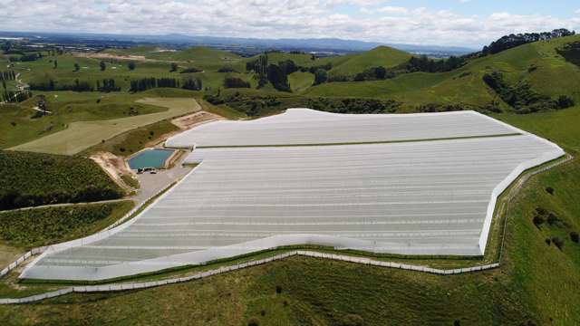 Otamarakau Valley Road Pukehina_2