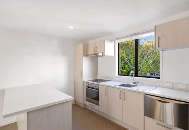 9/27 Rossmay Terrace Mt Eden_3