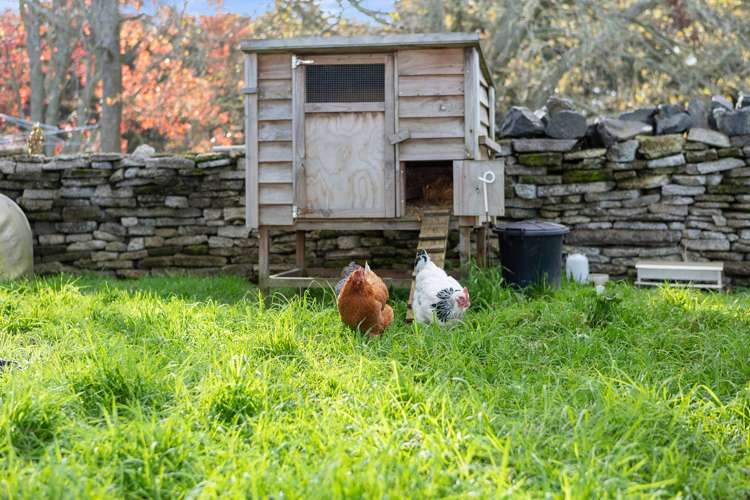 573c Kuranui Road Morrinsville_5